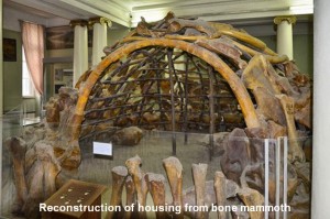 Реконструкція житла із кісток мамонта в національному Науково-Природничому музеї.